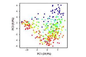 When cells play dice