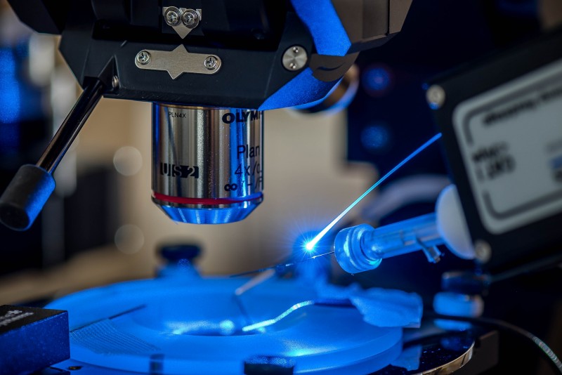 Using a technique called optogenetics, the thalamic neurons in the brain can be 