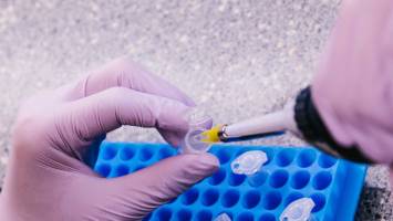 AI changing the way scientists carry out experiments