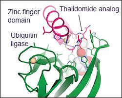 Clues to making drugs for 