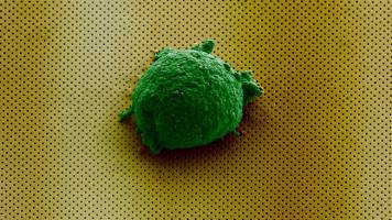 Deciphering the language of cells using observation chambers