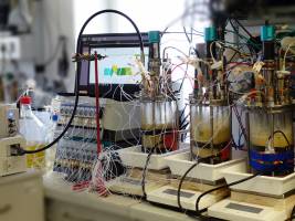 Digital penicillin production