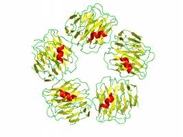 First patient trial will test new approach to treating Alzheimer's disease