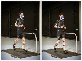 'Grounded running' drastically reduces the loading on the musculoskeletal system