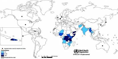Halting the spread of cholera through a neighborhood response