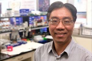 Metabolite therapy proves effective in treating C. difficile in mice