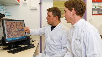 New Understanding of Parasite Biology Might Help Stop Malaria Transmission