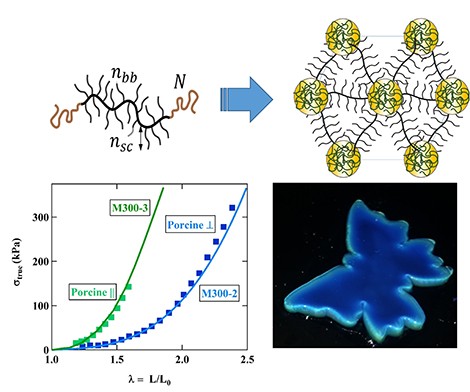 � D.A. Ivanov and S.S. Sheiko  Top � left: molecular structure of a plastomer sy