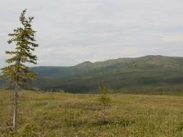 Prehistoric changes in vegetation could predict future of Earth's ecosystems