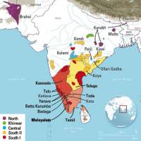 Research sheds new light on prehistory of Dravidian languages and their speakers
