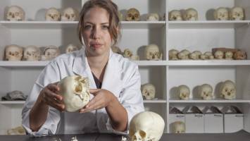 SE Asian population boom 4,000 years ago