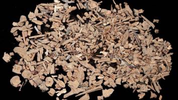 Study casts new light on fishing throughout history