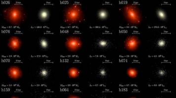 Studying dwarf galaxies to get the big picture