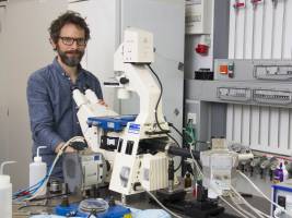 T cell antigen receptors act alone: longstanding immunological mystery solved