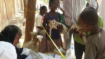 Targeted Vaccination to Interrupt Rabies Transmission