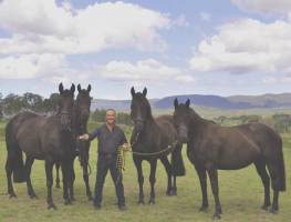 Tongue-tied horses: why this can be an issue in Australian racing