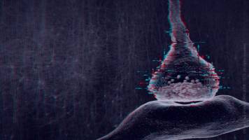 Brain finds order amidst chaos