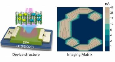 Nanophysicists developed a high-performance organic phototransistor