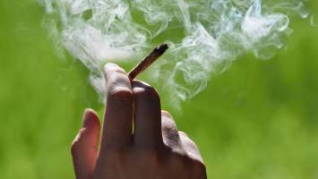 One in two Swiss people will have smoked weed by 2045