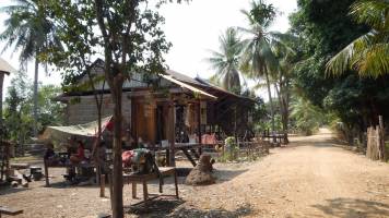 One Third of Cambodians Infected with Threadworm