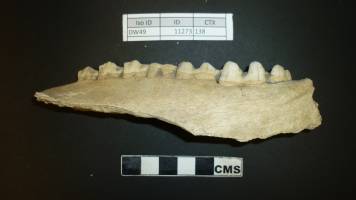 Prehistoric Britons rack up food miles for feasts near Stonehenge