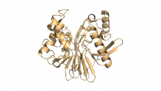 Model of the enzyme that the researchers investigated in their study. The two gr