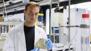 Stabilizing a cliff using biomineral binders