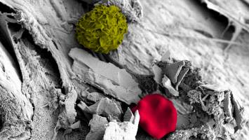 The most successfull flat share in the world