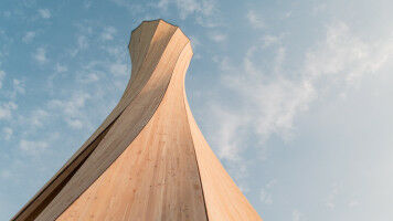 Wood that Shapes Itself