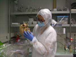 7,000 years of demographic history in France