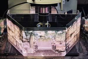 A glitch in the Matrix: Using virtual reality to understand how fish predict the future