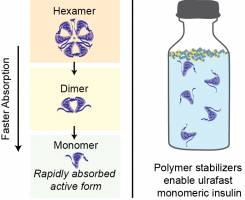 A new ultrafast insulin