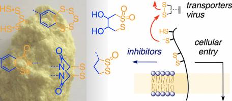 A sulfur molecule to block the coronavirus