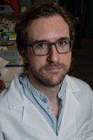 A trillion turns of light nets terahertz polarized bytes