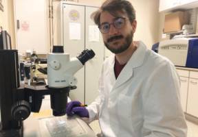 Are antivitamins the new antibiotics?