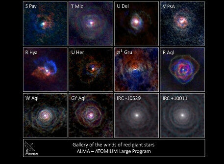 Gallery of stellar winds around cool ageing stars, showing a variety of morpholo