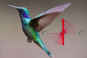 Attention, the electron is too fast!