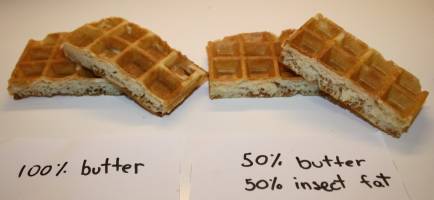 Belgian waffles with insect fat instead of butter: is this the future?