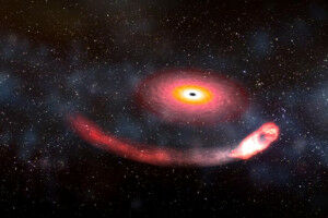 Black holes may shed light on dark matter