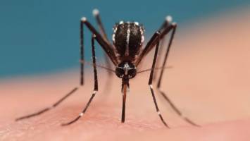 Closing Symposium of the TIGER Project