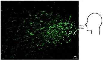 Coronavirus: the importance of ventilation