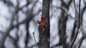 Environment high on list of worries Aussie voters