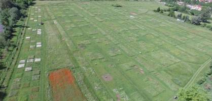 Findings From Experimental Biodiversity Sites Are Reliable