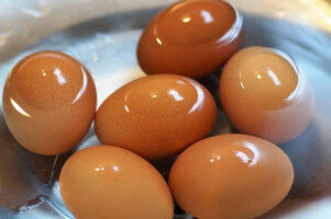 From boiling eggs to blood clotting: how do gels form?