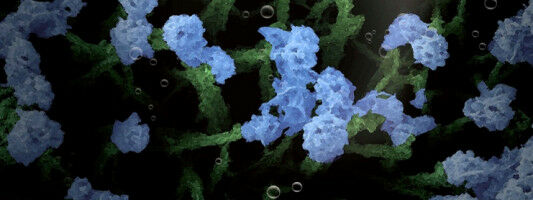 Harvesting hydrogen from nanogardens