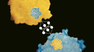 Detail of the Nature Methods cover (original image by Laura Persat, EPFL)