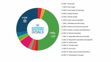 Introducing the SDGs into Peer-Reviewed Literature