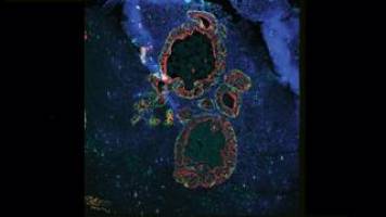 Towards a therapy against prostate cancer metastasis