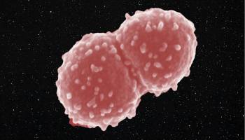 Microbial space travel on a molecular scale