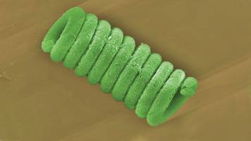 Mini power plants from coated blue-green algae